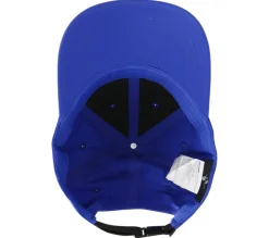 Skech-Shine Foil Baseball Hat